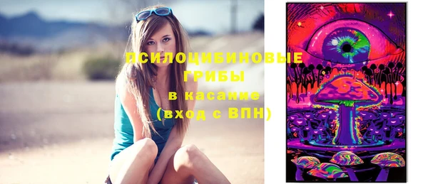 бошки Козловка