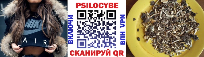 купить наркотики сайты  Новодвинск  Псилоцибиновые грибы Magic Shrooms 