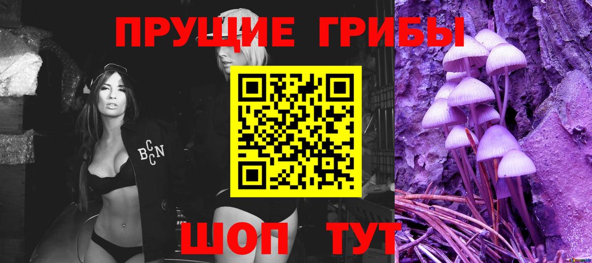 Псилоцибиновые грибы мухоморы Новодвинск