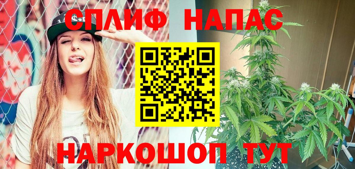 Канабис план Новодвинск